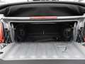 MINI John Cooper Works Cabrio JCW Trim LED ACC SHZ Grün - thumbnail 14