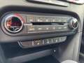 Kia XCeed 1.5T 140 DCT7 GT-LINE LEDER Klima Navi Weiß - thumbnail 20