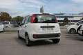 Fiat New Panda 1.2 Easy Bianco - thumbnail 13