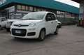 Fiat New Panda 1.2 Easy Bianco - thumbnail 1