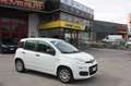 Fiat New Panda 1.2 Easy Bianco - thumbnail 7