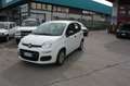 Fiat New Panda 1.2 Easy Bianco - thumbnail 4