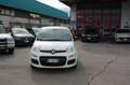 Fiat New Panda 1.2 Easy Bianco - thumbnail 3