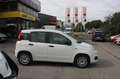 Fiat New Panda 1.2 Easy Bianco - thumbnail 9