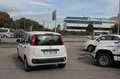 Fiat New Panda 1.2 Easy Bianco - thumbnail 12