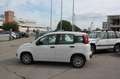 Fiat New Panda 1.2 Easy Bianco - thumbnail 10