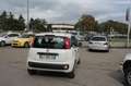 Fiat New Panda 1.2 Easy Bianco - thumbnail 15