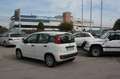 Fiat New Panda 1.2 Easy Bianco - thumbnail 11