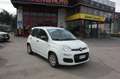 Fiat New Panda 1.2 Easy Bianco - thumbnail 6