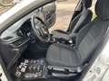 Fiat Tipo SW 1.6 mjt Easy Business s&s 120cv PERFETTA - thumbnail 14