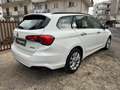 Fiat Tipo SW 1.6 mjt Easy Business s&s 120cv PERFETTA - thumbnail 5