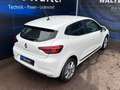 Renault Clio V Experience Weiß - thumbnail 9