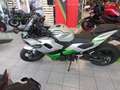Kawasaki Sonstige Vorführer - WINTERPREIS Grün - thumbnail 2