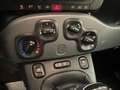 Fiat Panda 1.2 easypower Gpl CityLife Grigio - thumbnail 13
