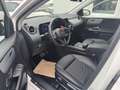 Mercedes-Benz B 180 B 180 d (247.003) Weiß - thumbnail 8