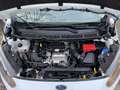 Ford Transit Courier Trend Klima 1 Hand Mwst Inspektion Neu Tüv 11.27 Білий - thumbnail 7