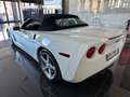 Corvette C6 Convertible Cabrio 6.0 V8 auto White - thumbnail 5