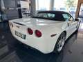 Corvette C6 Convertible Cabrio 6.0 V8 auto Blanc - thumbnail 6