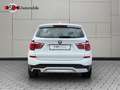 BMW X3 xDrive 20 d X-Line Head-Up DAB Navi LED Kamer Weiß - thumbnail 28