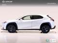 Lexus UX 250h BUSINESS CITY + AUTO 2.0 184 5P Blanc - thumbnail 3
