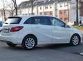 Mercedes-Benz B 200 7G-DCT Style 1.Hand "TÜV bis 01/2028" Blanc - thumbnail 3