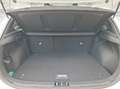 Kia Ceed / cee'd ceed 1,5 TGDI Silber P2 Weiß - thumbnail 9