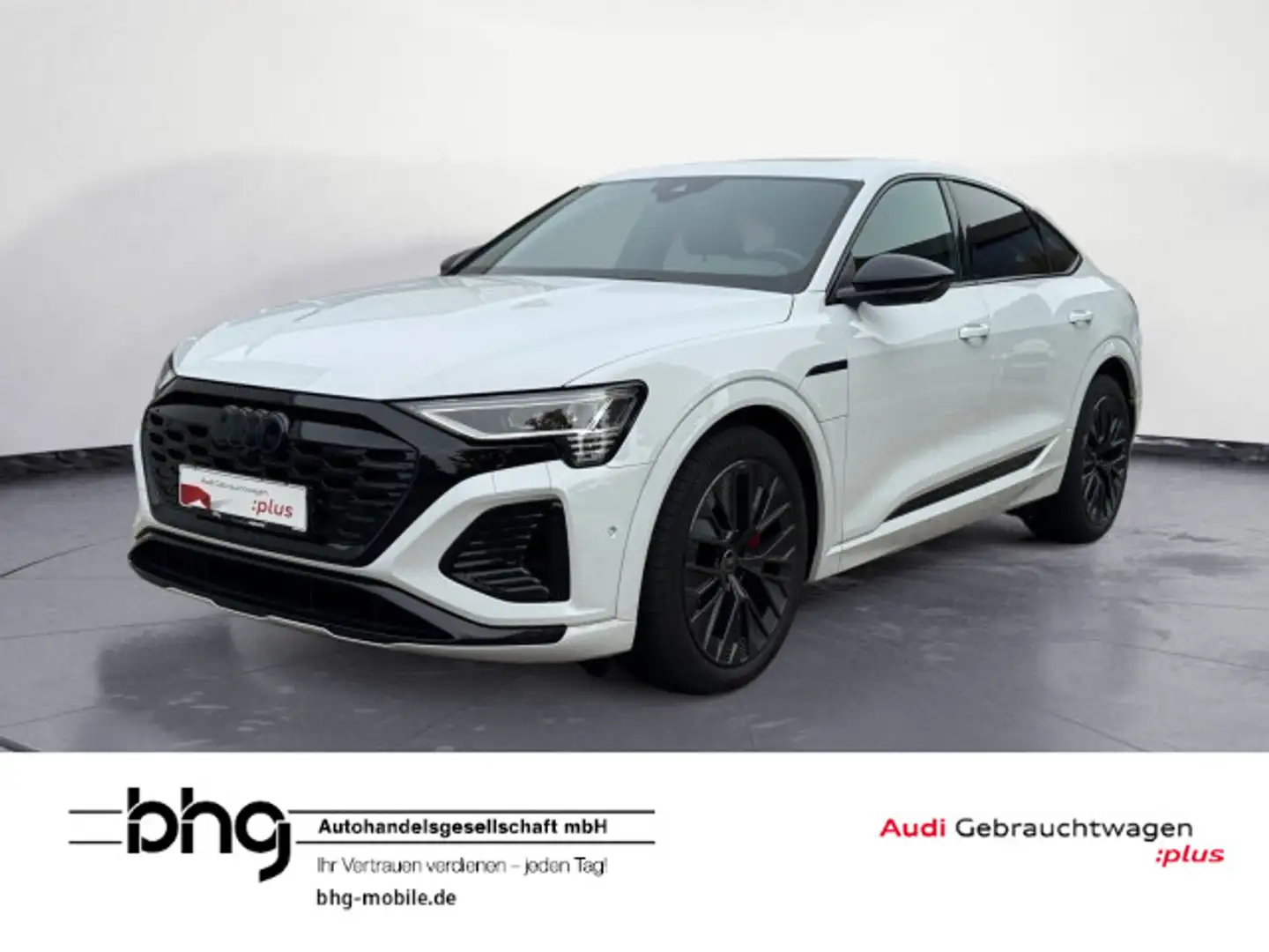 Audi Q8 Sportback 55 e-tron S-line Matrix/AHK/Pano/AC Weiß - 1