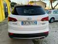 Hyundai SANTA FE Santa Fe 2.0 crdi Style 4wd Bianco - thumbnail 5