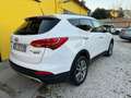 Hyundai SANTA FE Santa Fe 2.0 crdi Style 4wd Bianco - thumbnail 4