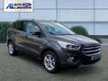 Ford Kuga Titanium Navi El. Heckklappe Apple CarPlay Android Gris - thumbnail 4