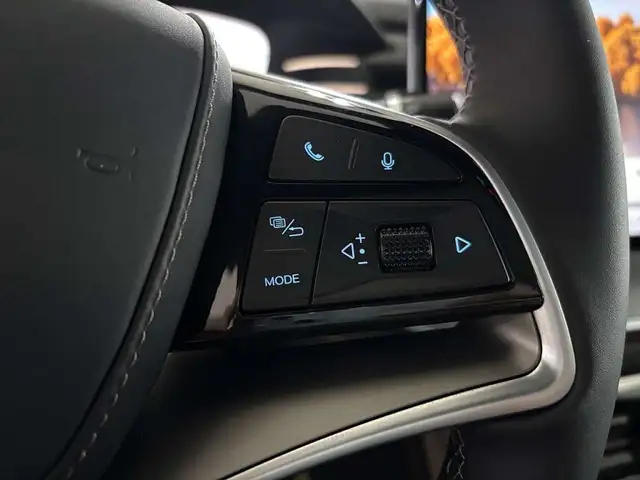 BYD Tang 108,8 kWh Österreich Paket Flagship ( GEWERBEPR... Ansicht 24