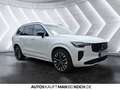 Volvo XC90 T8 AWD Plug-in Hybrid Ultra Dark (Facelift) Weiß - thumbnail 5