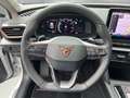 CUPRA Leon 2.0 TDI LED+NAVI+AHK+FULL LINK+PARKLENK+ACC Weiß - thumbnail 14