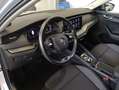 Skoda Octavia 2.0 TDI 150 CV EVO SCR DSG Wagon Ambition Argento - thumbnail 10
