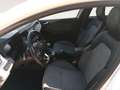 Renault Clio TCe Techno 67kW Blanco - thumbnail 10