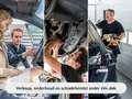 Volkswagen e-Golf | Camera | PDC v+a | NAP Grau - thumbnail 22