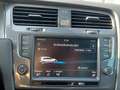 Volkswagen e-Golf | Camera | PDC v+a | NAP Grau - thumbnail 29