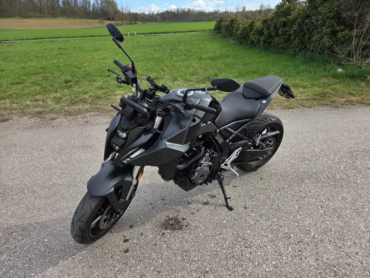 Suzuki GSX 8S