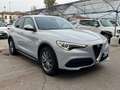 Alfa Romeo Stelvio 2.2 Turbodiesel 160 CV AT8 RWD Business PROMO Bianco - thumbnail 1