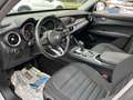Alfa Romeo Stelvio 2.2 Turbodiesel 160 CV AT8 RWD Business PROMO Bianco - thumbnail 9