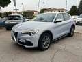 Alfa Romeo Stelvio 2.2 Turbodiesel 160 CV AT8 RWD Business PROMO Bianco - thumbnail 3