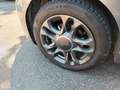 Fiat 500 500 1.0 hybrid Connect 70cv/km certificato/ Gris - thumbnail 14