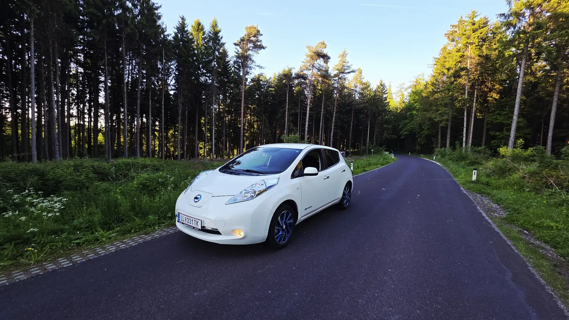 Nissan Leaf Limited Edition 24 kWh - 1