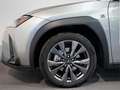 Lexus UX 300h F Sport 2WD - thumbnail 16