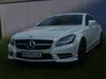 Mercedes-Benz CLS 250 CDI BlueEfficiency Aut. DPF - thumbnail 2