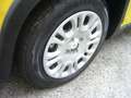Fiat Panda 1.0 FireFly S&S Hybrid Pandina Urban Vettura Nuova Jaune - thumbnail 5