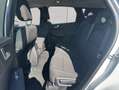 Ford Kuga 2.5 Duratec PHEV TITANIUM Weiß - thumbnail 13