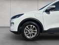 Ford Kuga 2.5 Duratec PHEV TITANIUM Weiß - thumbnail 17