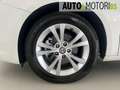 Alfa Romeo Giulietta 1.6 JTDm-2 105 CV Distinctive Bianco - thumbnail 8
