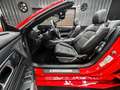 Ford Mustang 2.3 EcoBoost 317 Cv Dark Horse Rot - thumbnail 27